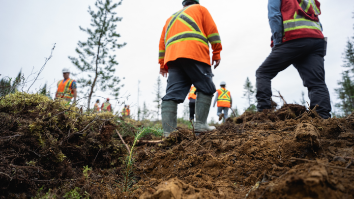 INDUSTRIE FORESTIÈRE : La MRC d'Abitibi appelle Québec à l'action