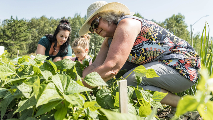 La MRC d'Abitibi investit 260 000 $ dans 12 projets sur son territoire.