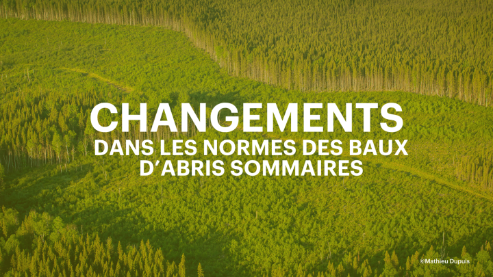 Modifications aux règlements sur les terres du domaine de l'État : ce que vous devez savoir.