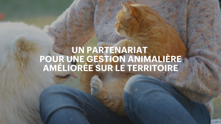 UN PARTENARIAT POUR UNE GESTION ANIMALIÈRE AMÉLIORÉE  SUR LE TERRITOIRE DE LA MRC D'ABITIBI