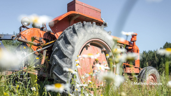 Appel à candidatures - Représentants de secteur pour siéger au comité directeur du PDZA de la MRC d'Abitibi